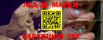 стаф Новокубанск