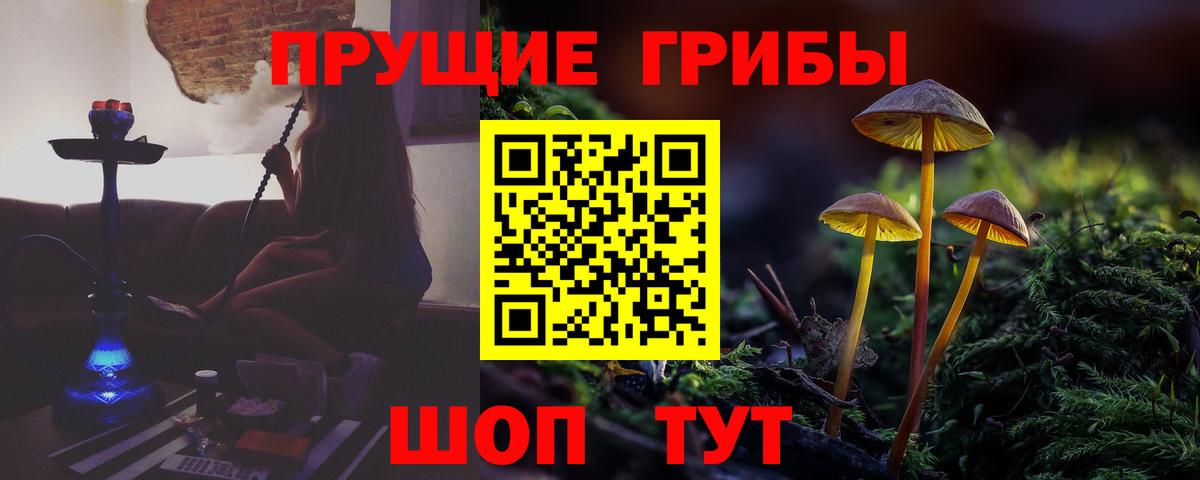 Псилоцибиновые грибы ЛСД Удомля